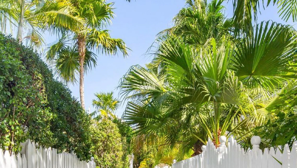 Palm Bay backyard with a screened pool enclosure and palm trees in flat afternoon light