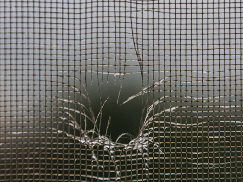 Wind-damaged screen panel pulled loose from an enclosure wall